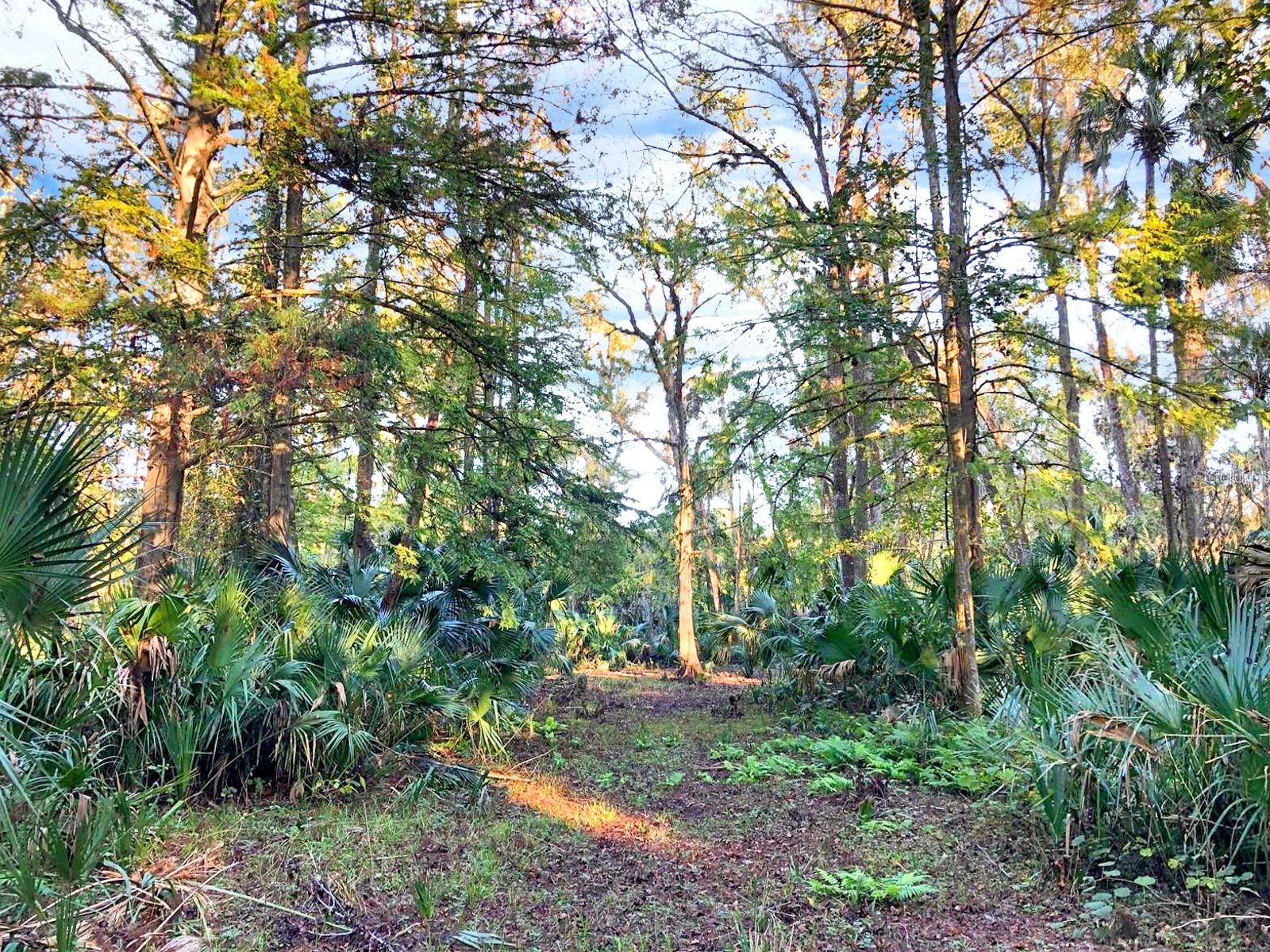 BRONSON RD, SORRENTO, FL, 32776