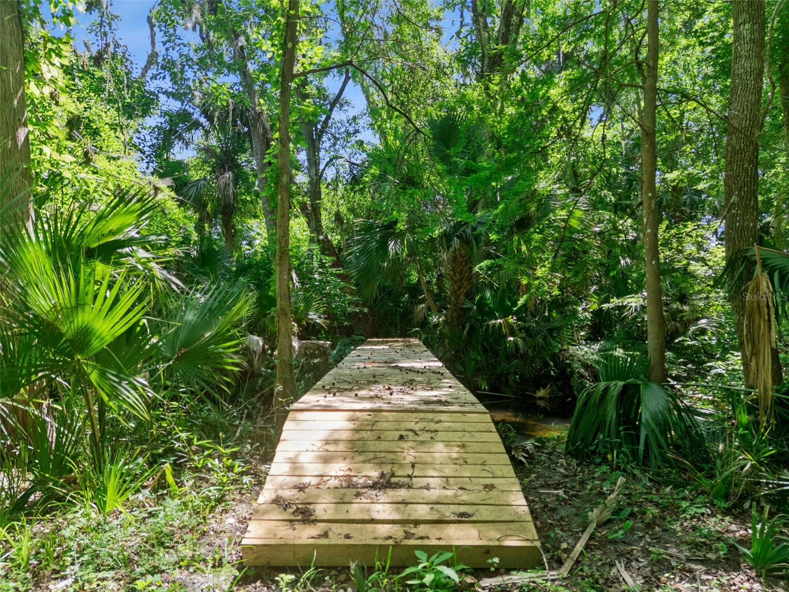 BRONSON RD, SORRENTO, FL, 32776