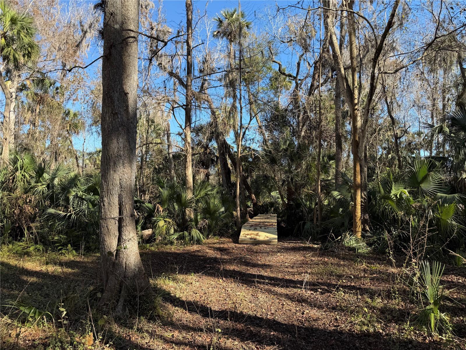 BRONSON RD, SORRENTO, FL, 32776