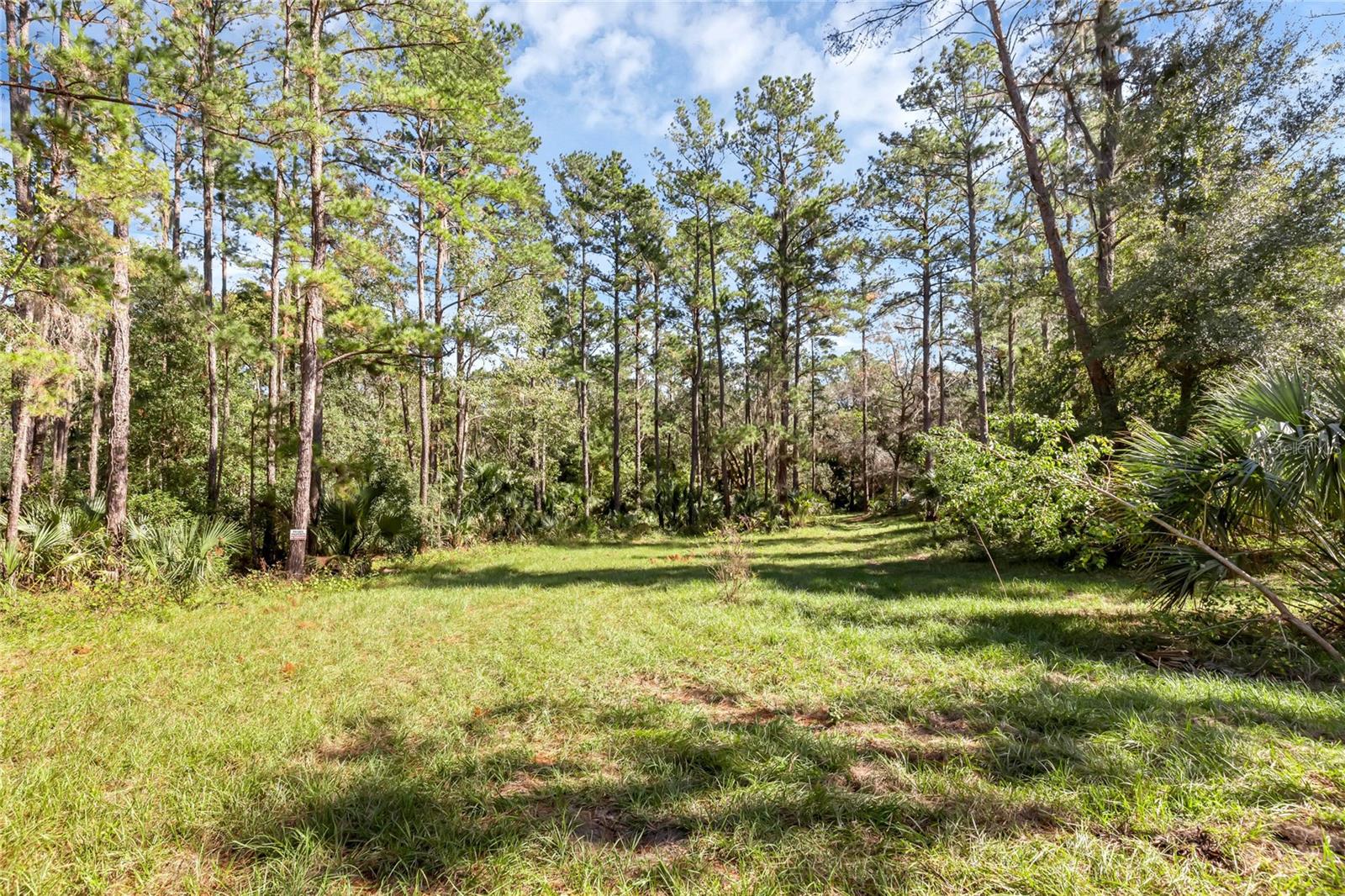 BRONSON RD, SORRENTO, FL, 32776