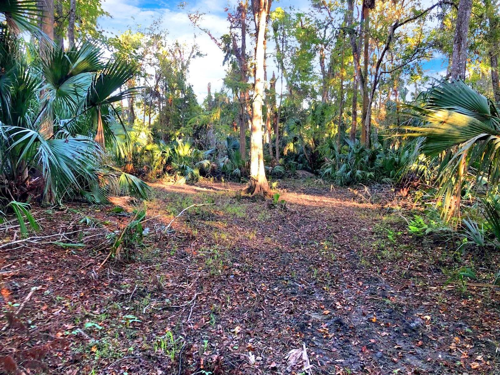 BRONSON RD, SORRENTO, FL, 32776