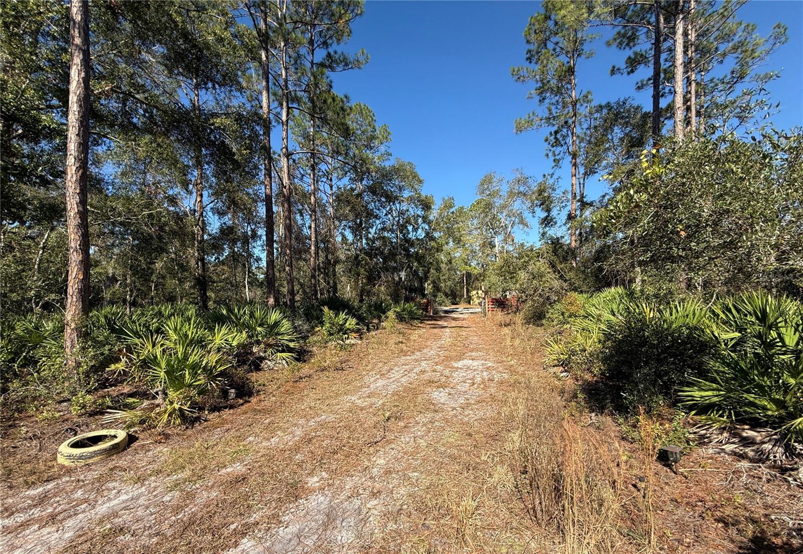 484 NE 412TH AVE, OLD TOWN, FL, 32680
