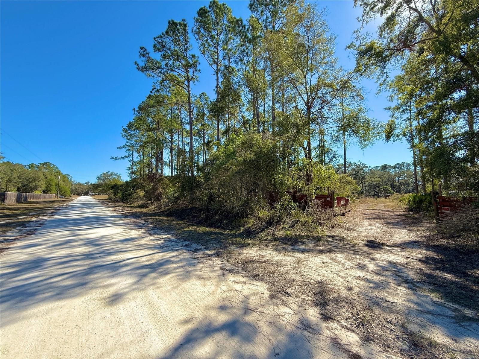 484 NE 412TH AVE, OLD TOWN, FL, 32680