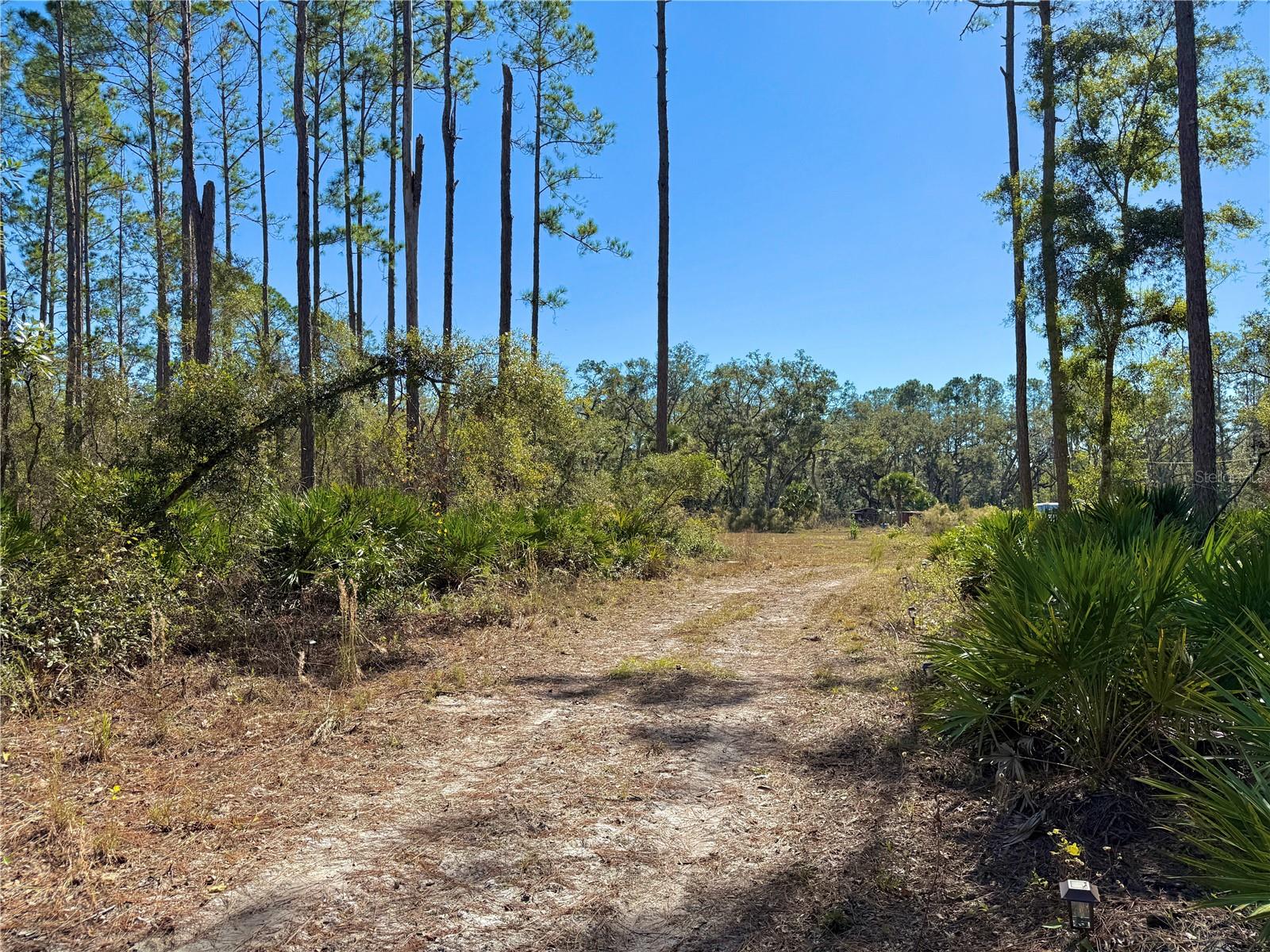 484 NE 412TH AVE, OLD TOWN, FL, 32680