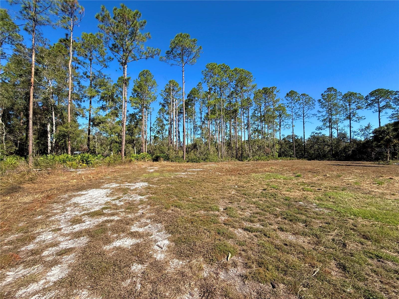 484 NE 412TH AVE, OLD TOWN, FL, 32680