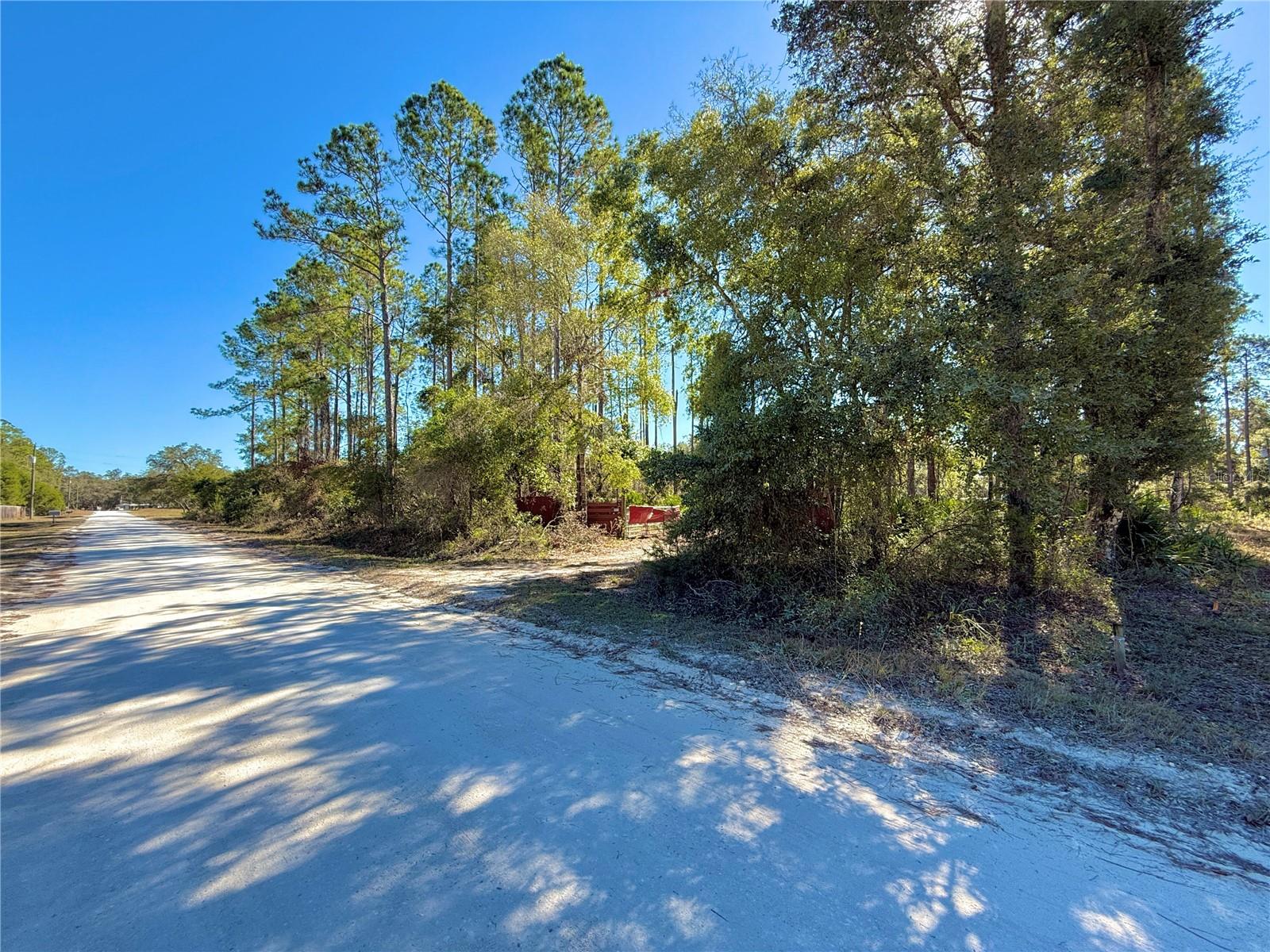 484 NE 412TH AVE, OLD TOWN, FL, 32680