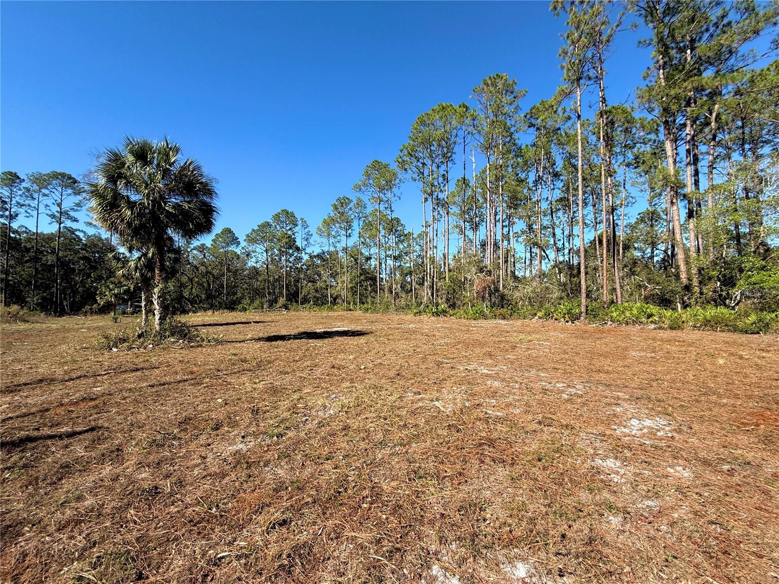 484 NE 412TH AVE, OLD TOWN, FL, 32680