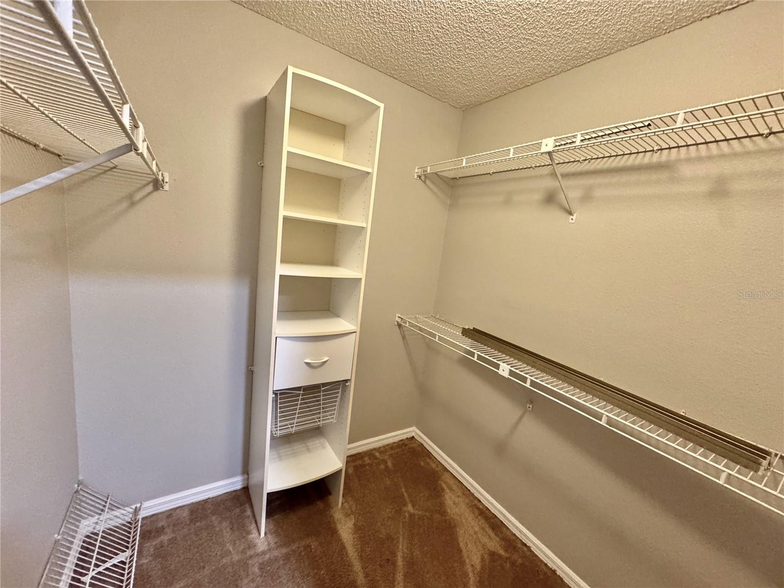 6718 TRAIL RIDGE DR, LAKELAND, FL, 33813