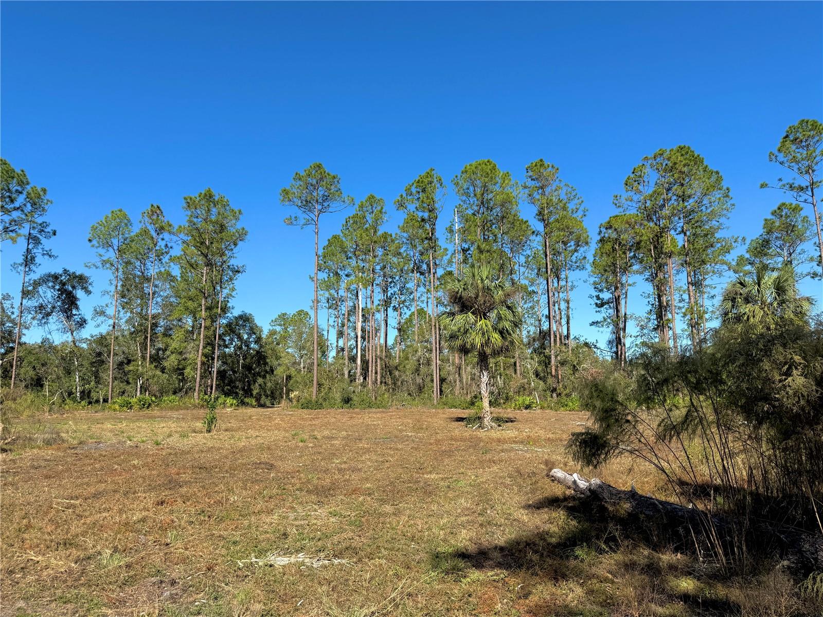 NE UNASSIGNED AVE, OLD TOWN, FL, 32680