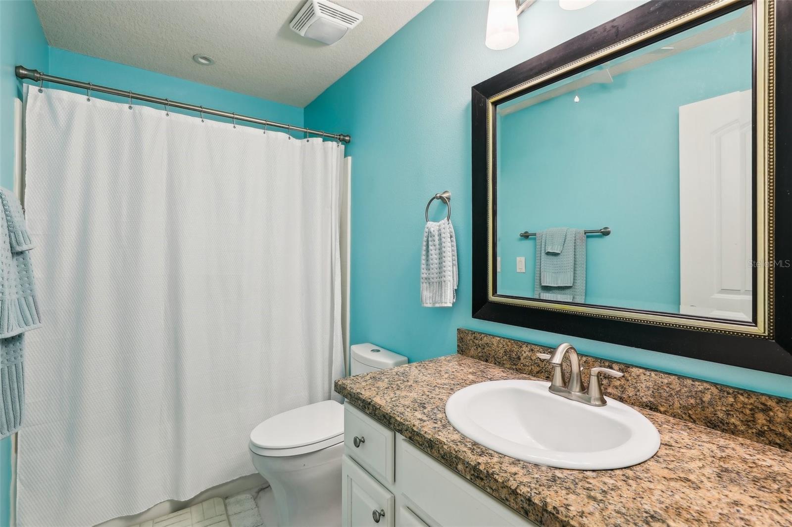 36729 ALAQUA CT, EUSTIS, FL, 32736