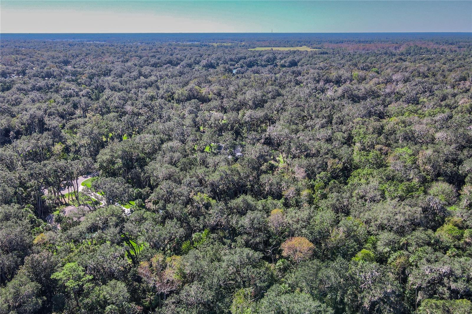 39 STEEPLECHASE TRL, FLAGLER BEACH, FL, 32136
