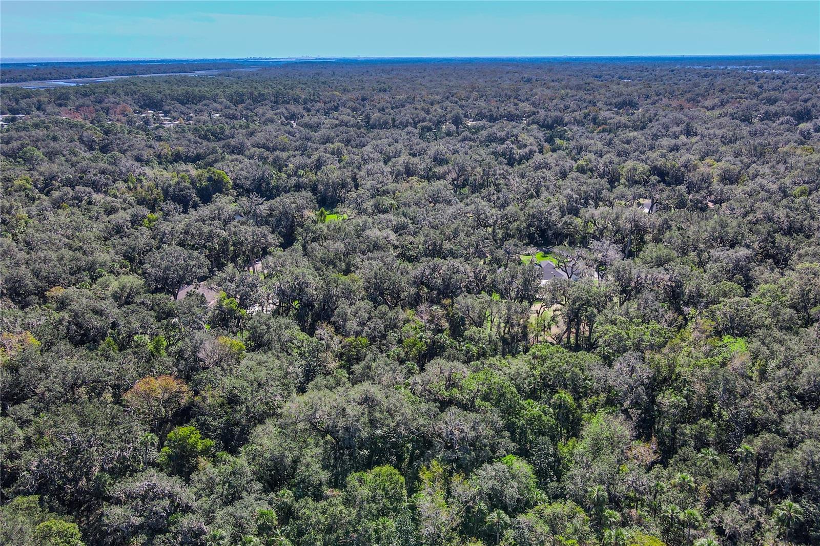 39 STEEPLECHASE TRL, FLAGLER BEACH, FL, 32136