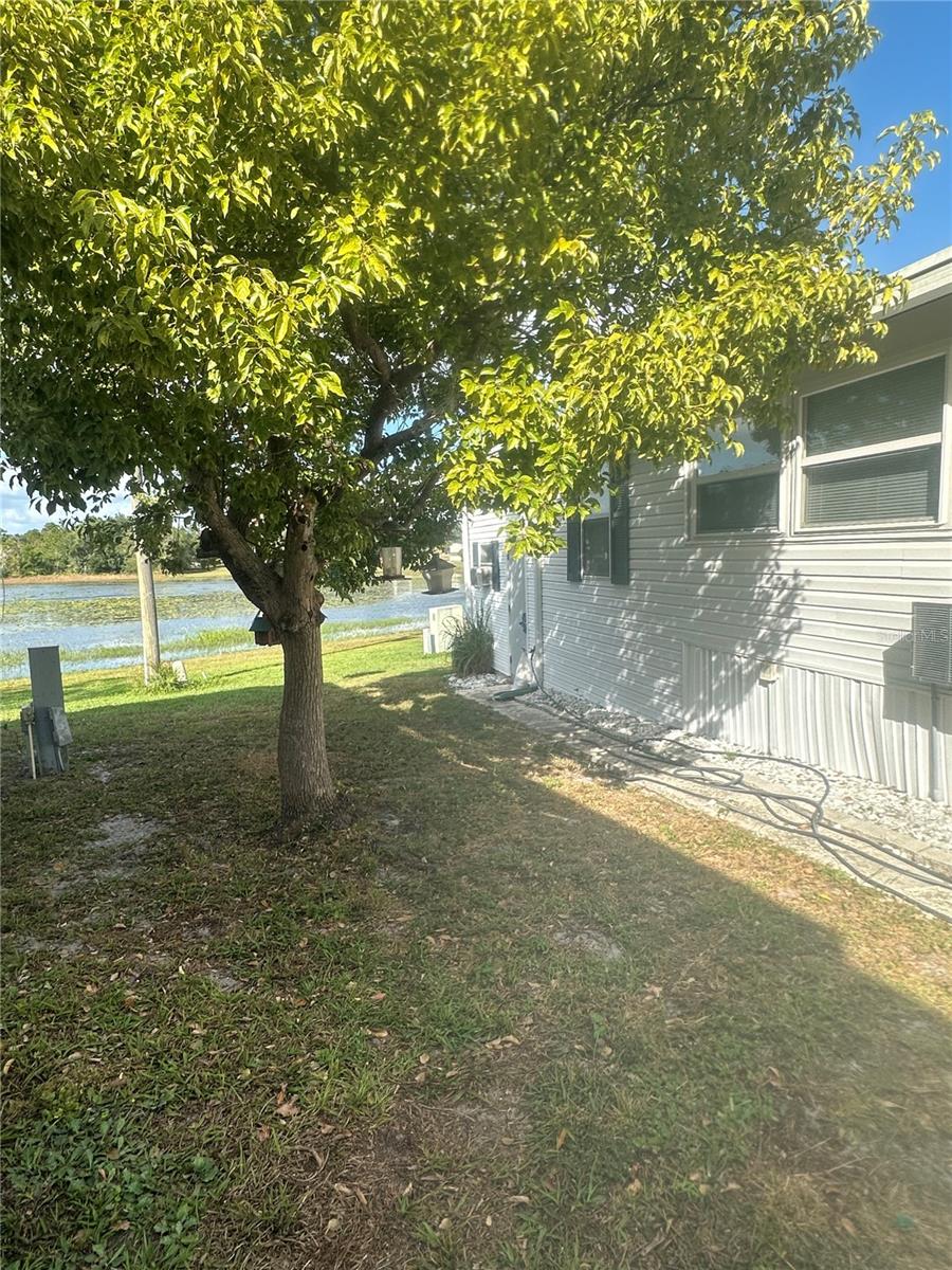 9289 GRIZZLY BEAR LN, WEEKI WACHEE, FL, 34613