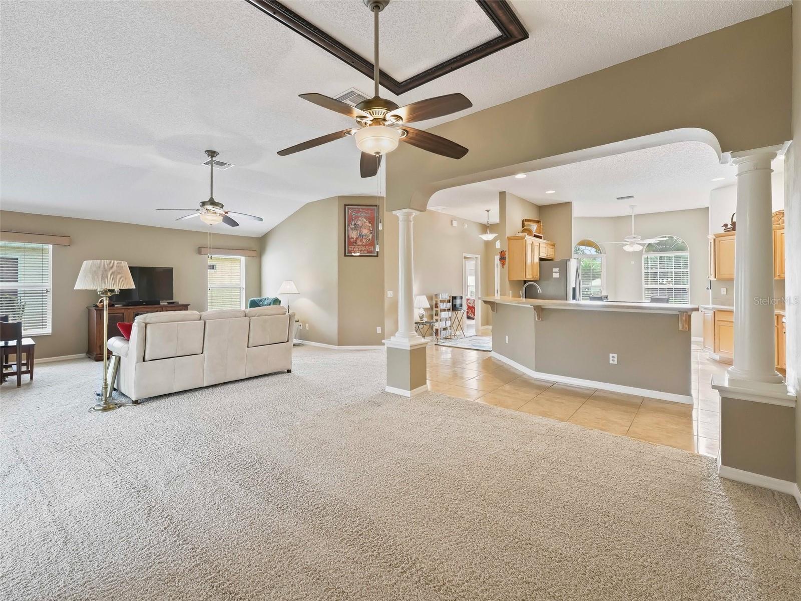 397 SIMPSON ST, THE VILLAGES, FL, 32162
