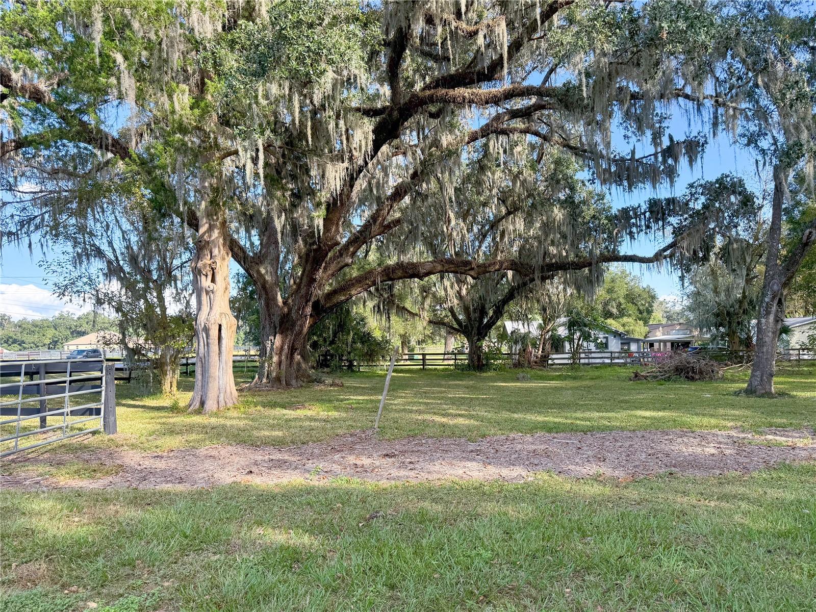 2520 NE 70TH ST, OCALA, FL, 34479