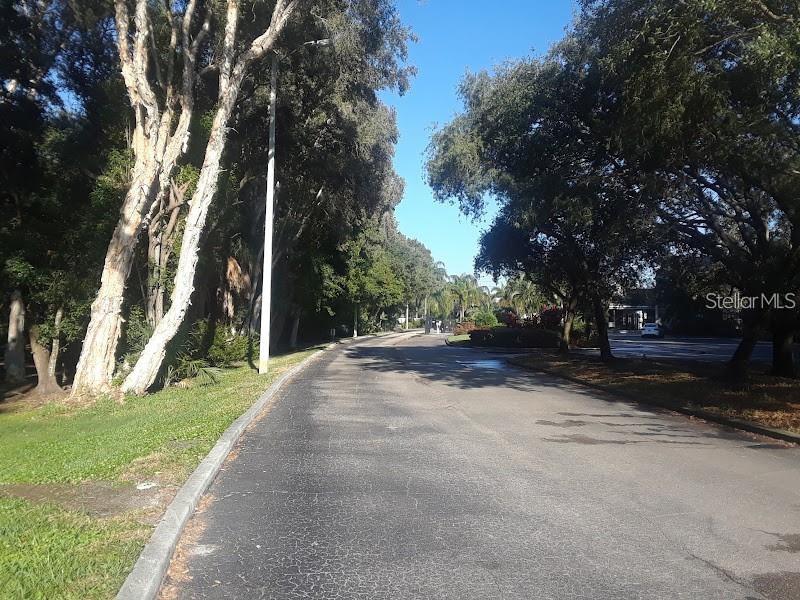 9100 DR MARTIN LUTHER KING JR ST N #1411, ST PETERSBURG, FL, 33702