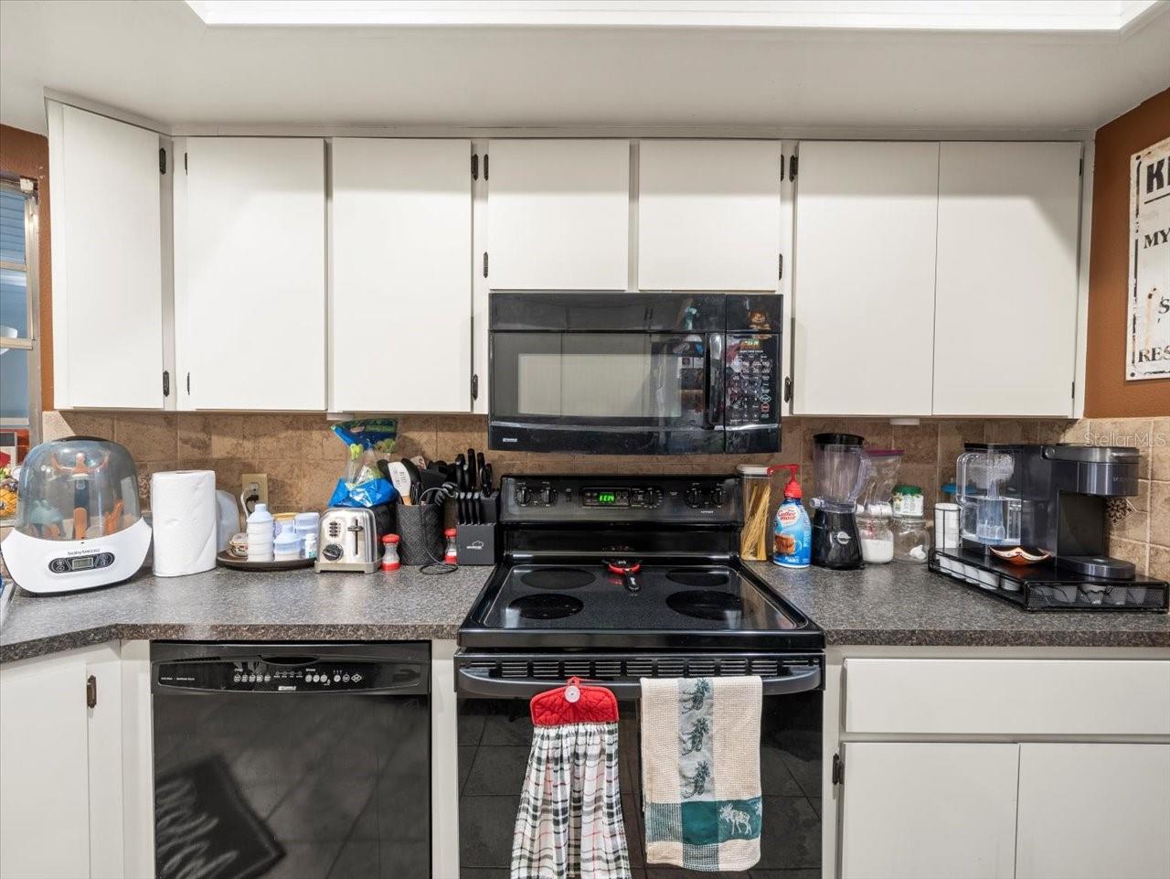 10556 BLYTHVILLE RD, SPRING HILL, FL, 34608