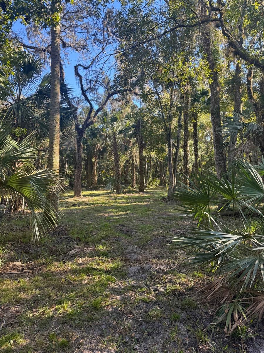 S COUNTY ROAD 13, ORLANDO, FL, 32833