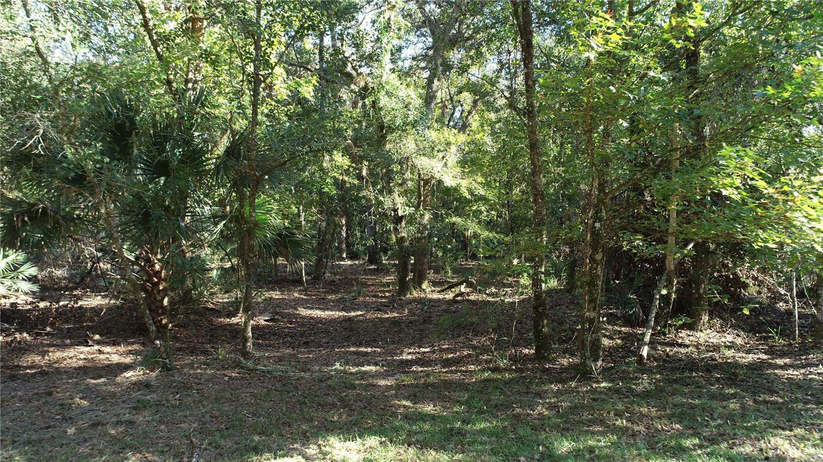 S COUNTY ROAD 13, ORLANDO, FL, 32833