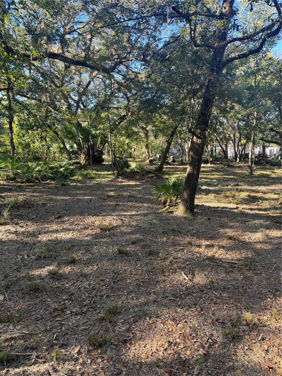 S COUNTY ROAD 13, ORLANDO, FL, 32833