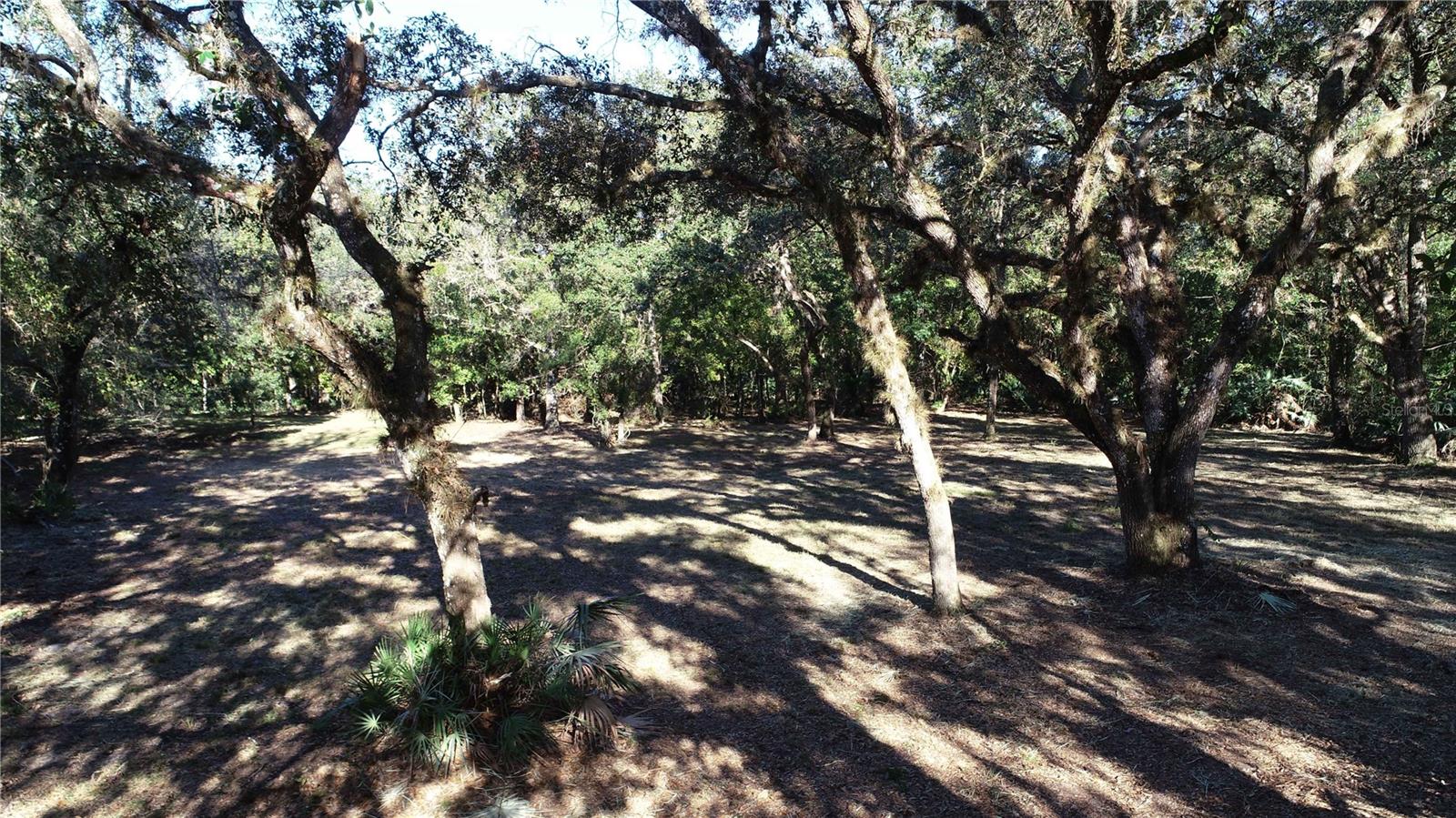 S COUNTY ROAD 13, ORLANDO, FL, 32833