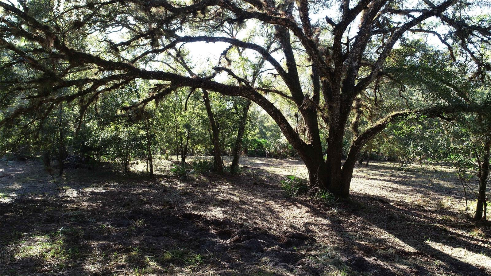 S COUNTY ROAD 13, ORLANDO, FL, 32833