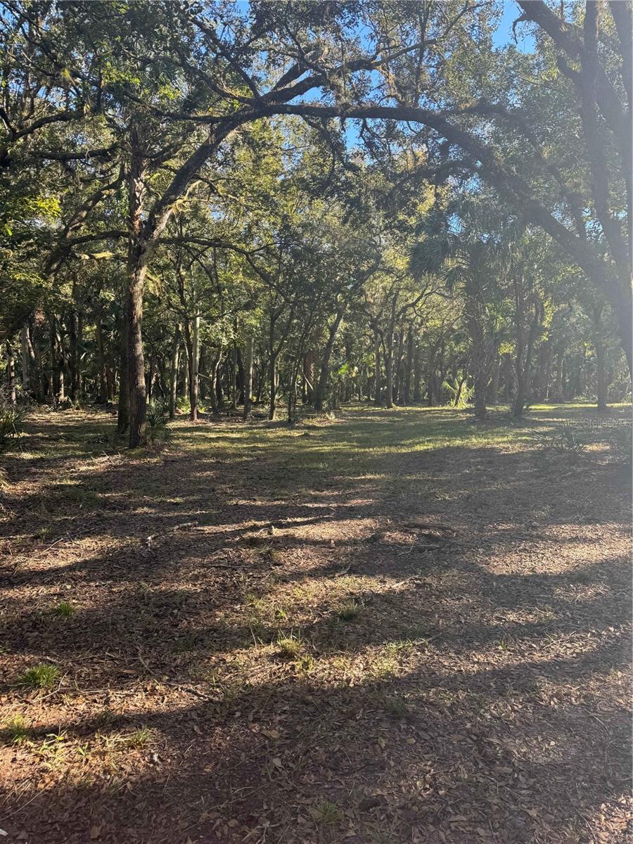 S COUNTY ROAD 13, ORLANDO, FL, 32833