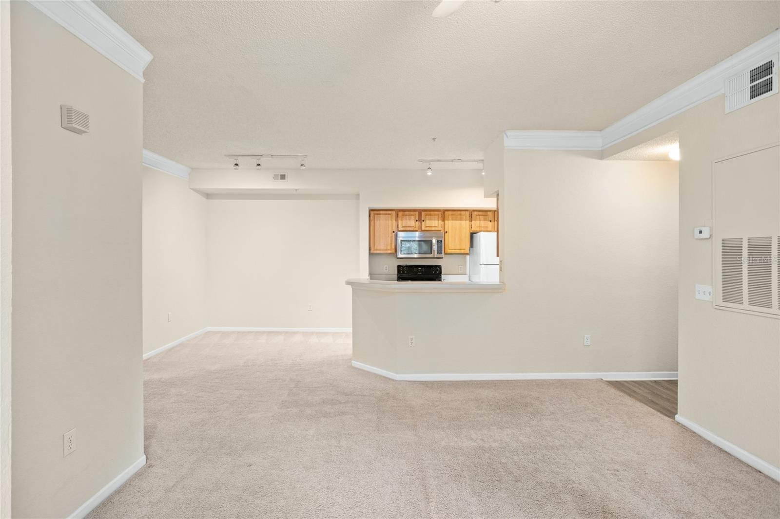 13016 PLANTATION PARK CIR #1129, ORLANDO, FL, 32821