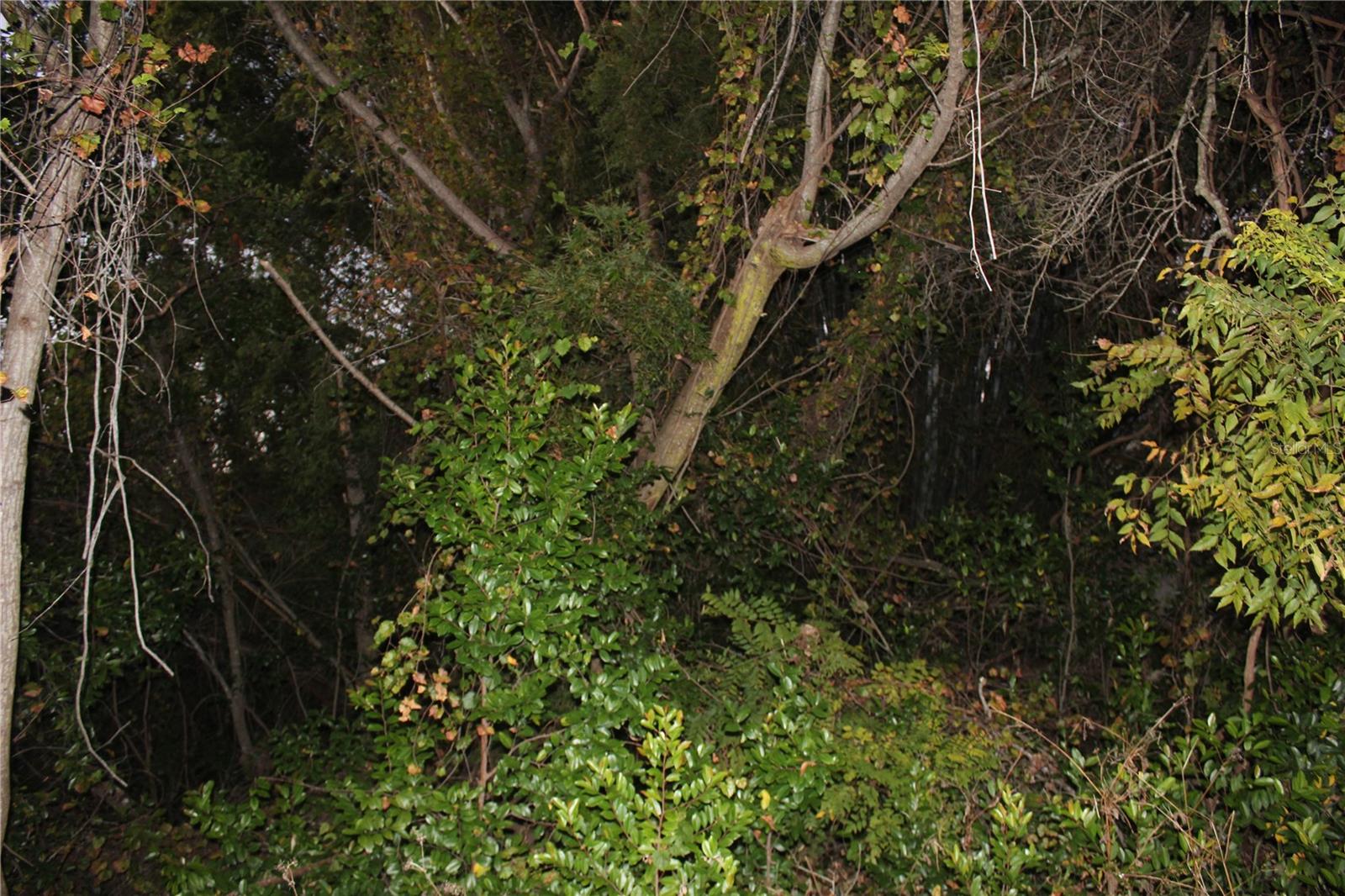 NO STREET, ORANGE CITY, FL, 32763