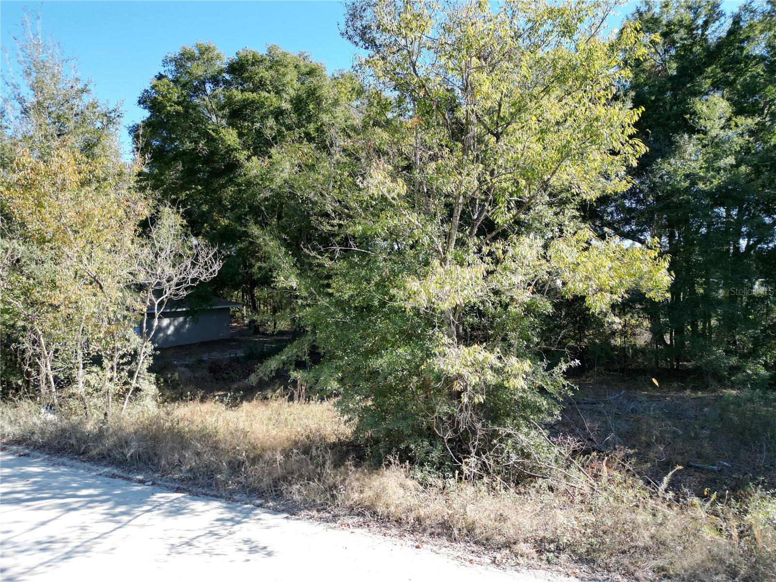 TBD NW 52ND AVE, OCALA, FL, 34482