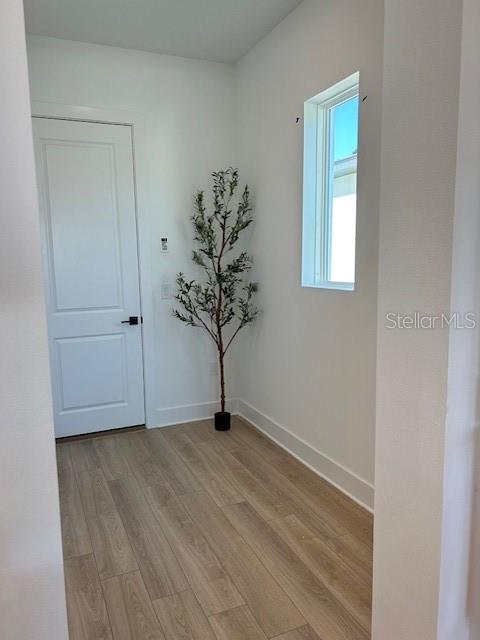 8324 GOLDEN BEACH CT, PARRISH, FL, 34219