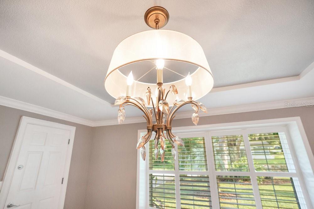 235 OAKDALE ST, WINDERMERE, FL, 34786