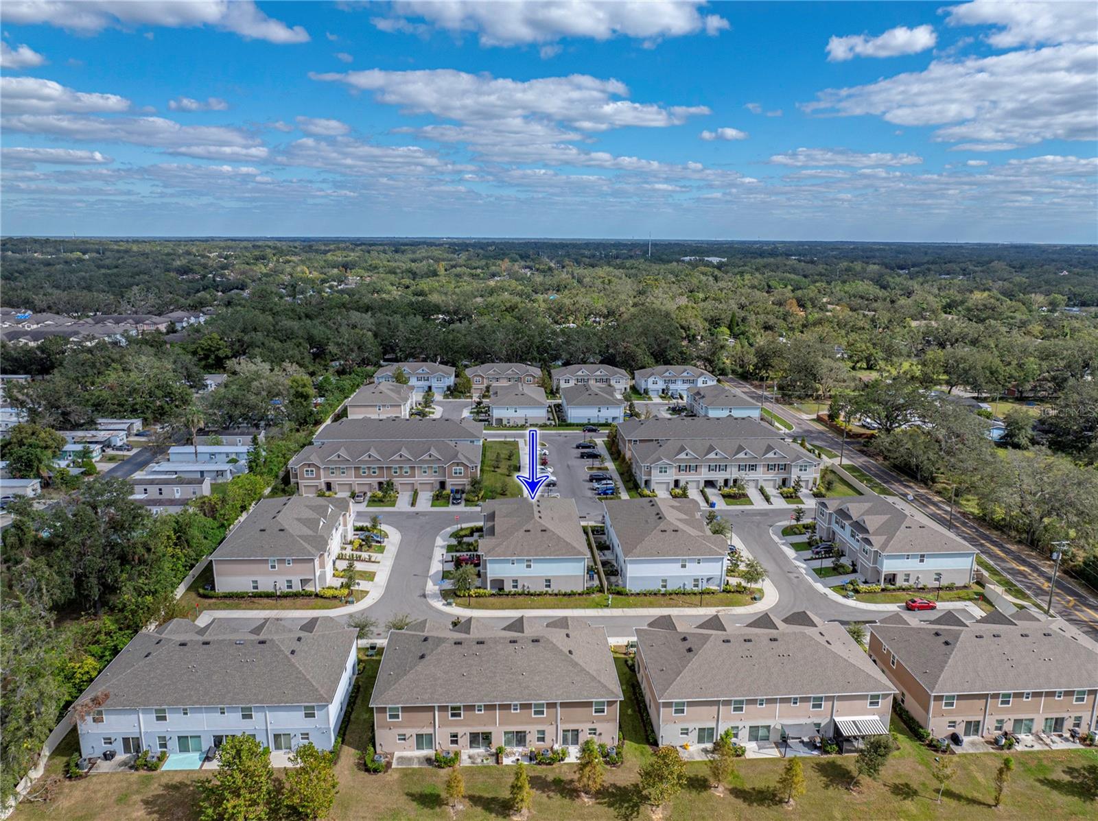 10909 GOLDEN ACORN AVE, TAMPA, FL, 33610