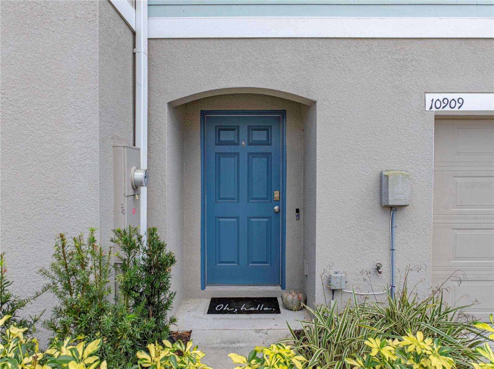 10909 GOLDEN ACORN AVE, TAMPA, FL, 33610