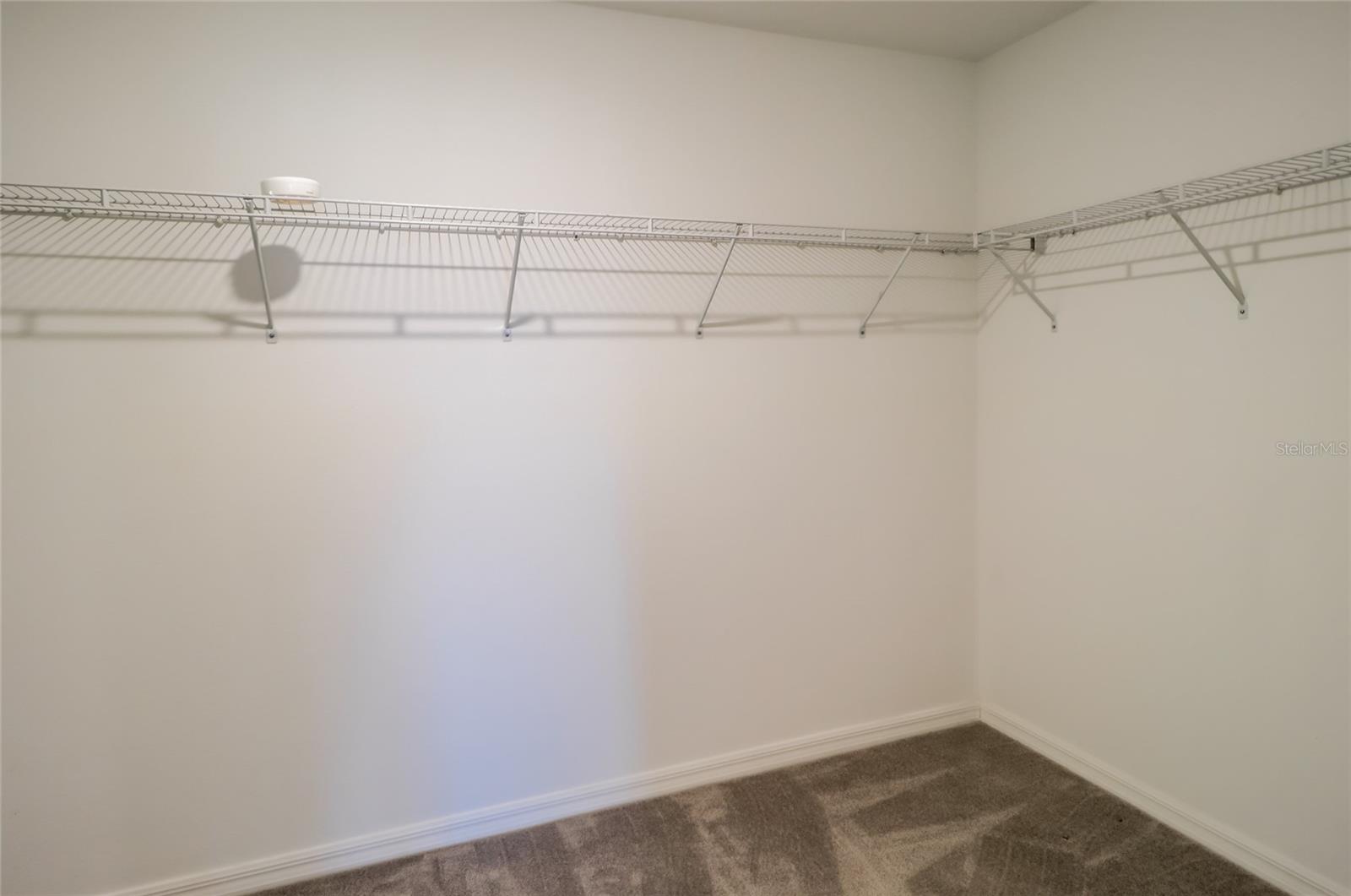 31375 SUN KETTLE LOOP, WESLEY CHAPEL, FL, 33545