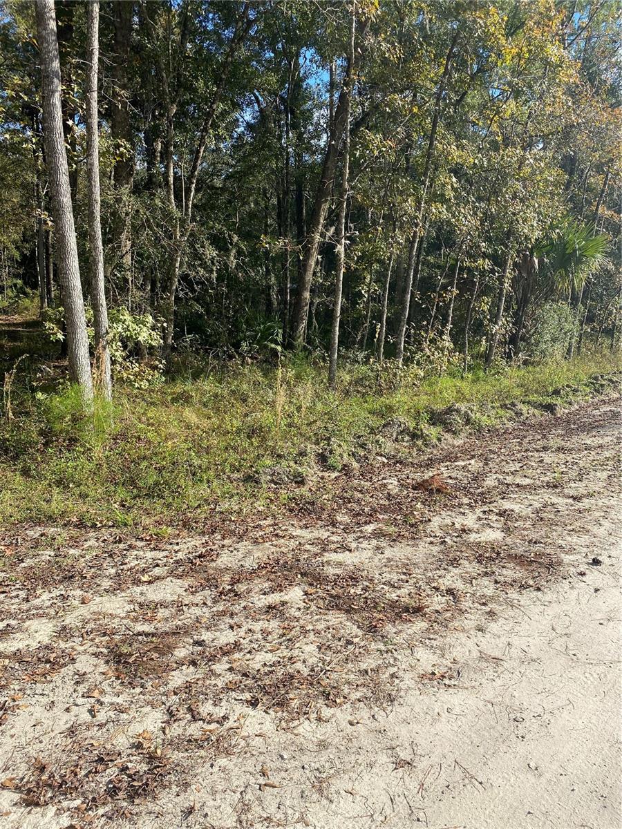 18781 NW 149TH AVE, WILLISTON, FL, 32696