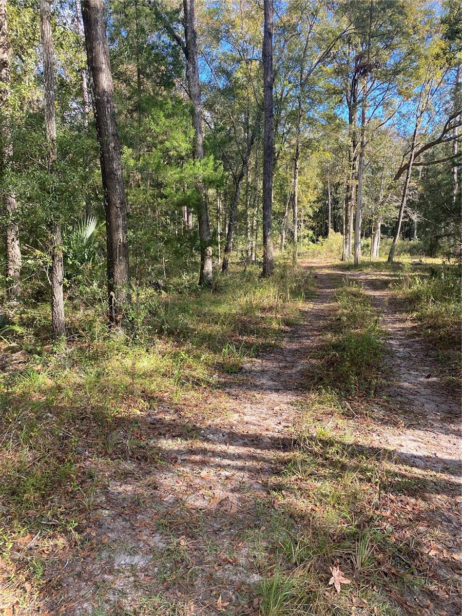 18781 NW 149TH AVE, WILLISTON, FL, 32696