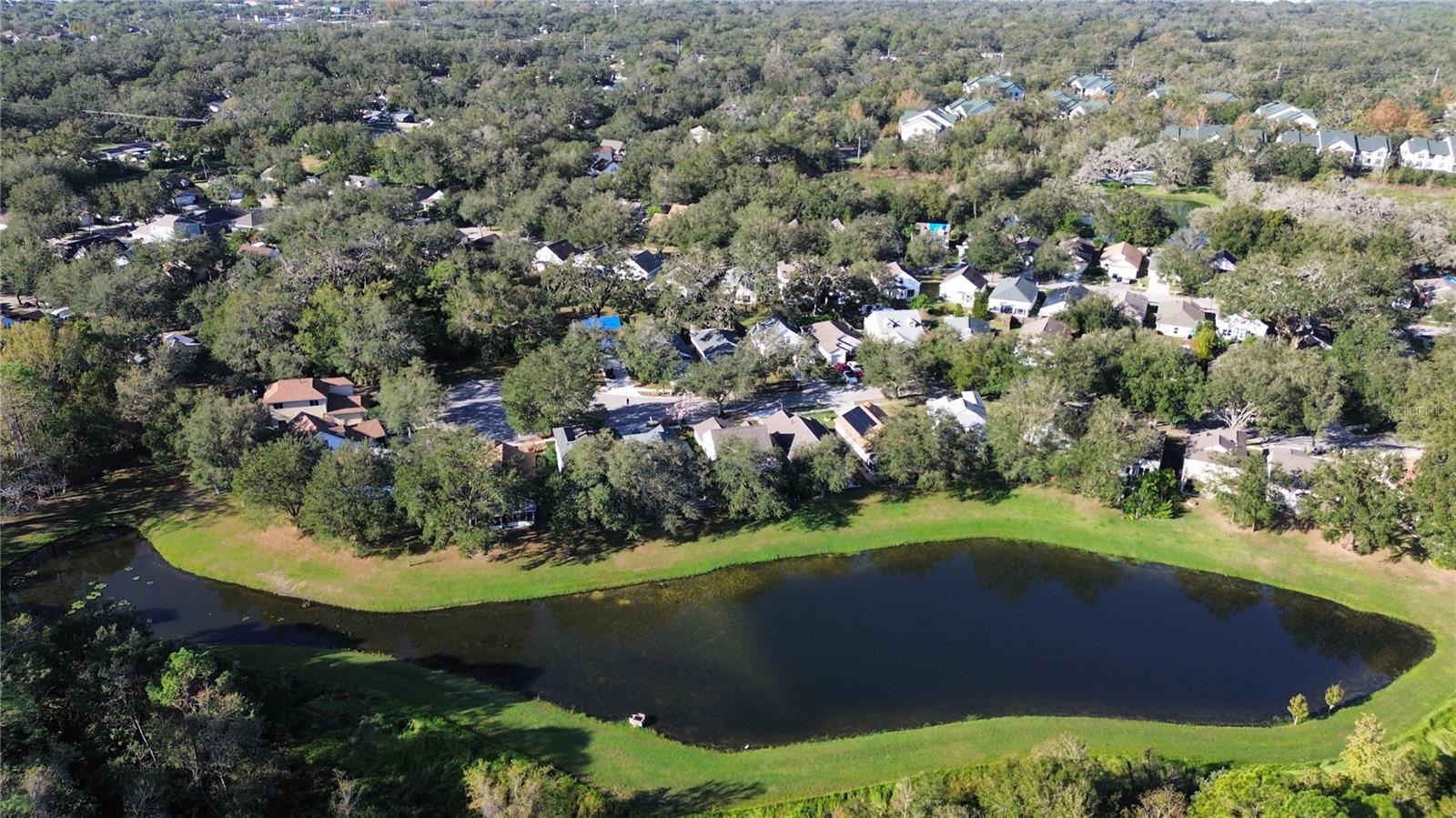 2638 GOLDEN ANTLER LN, LUTZ, FL, 33559