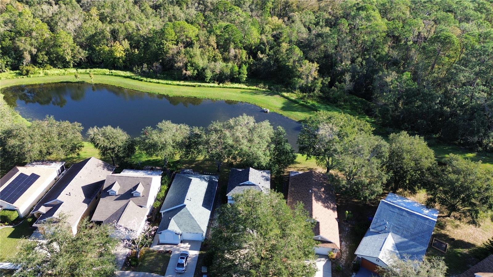 2638 GOLDEN ANTLER LN, LUTZ, FL, 33559