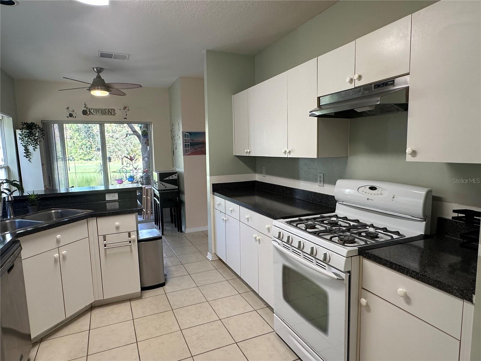 2638 GOLDEN ANTLER LN, LUTZ, FL, 33559
