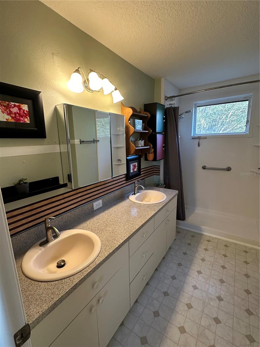 2638 GOLDEN ANTLER LN, LUTZ, FL, 33559