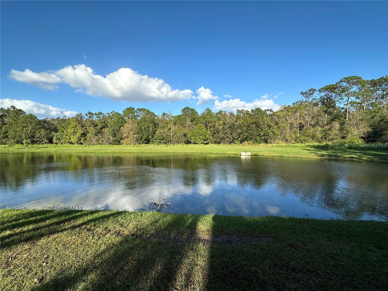 2638 GOLDEN ANTLER LN, LUTZ, FL, 33559