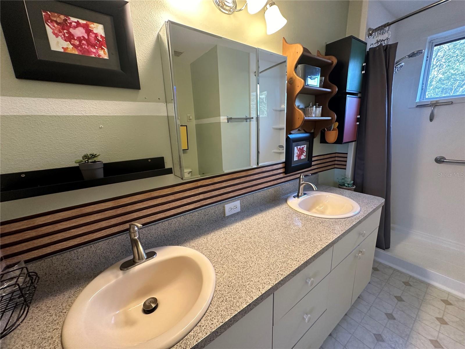 2638 GOLDEN ANTLER LN, LUTZ, FL, 33559