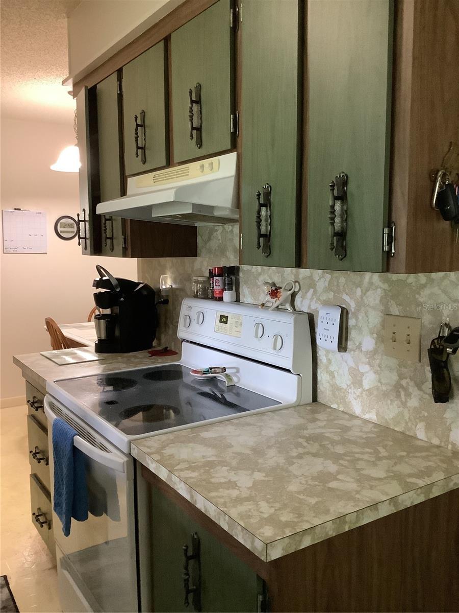 31204 LANCEWOOD DR, BROOKSVILLE, FL, 34602