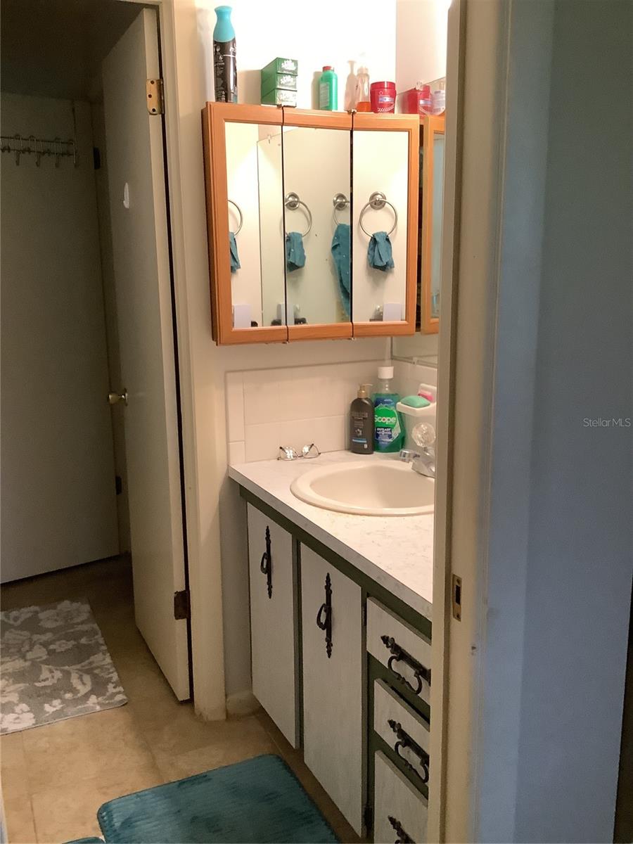 31204 LANCEWOOD DR, BROOKSVILLE, FL, 34602