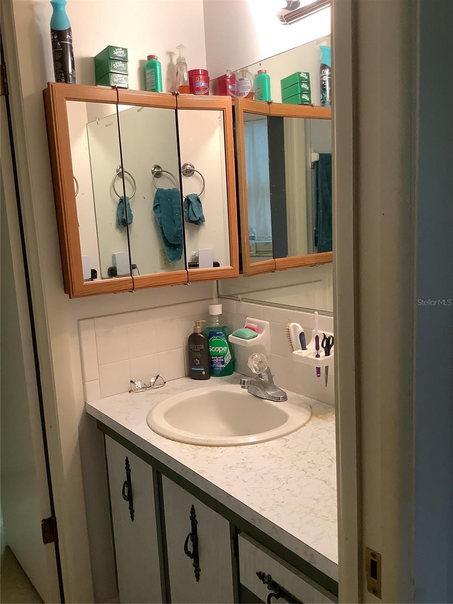 31204 LANCEWOOD DR, BROOKSVILLE, FL, 34602