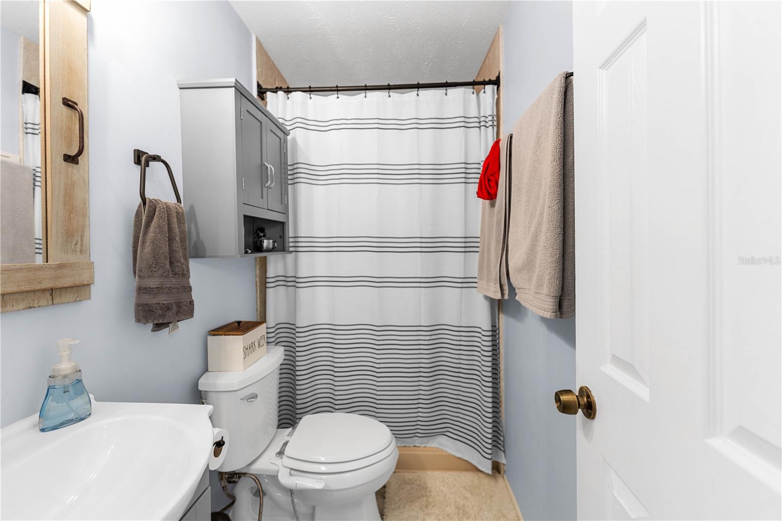 1308 OAKHILL ST, SEFFNER, FL, 33584