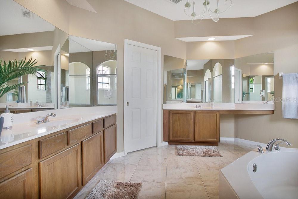 18051 THORNHILL GRAND CIR, ORLANDO, FL, 32820