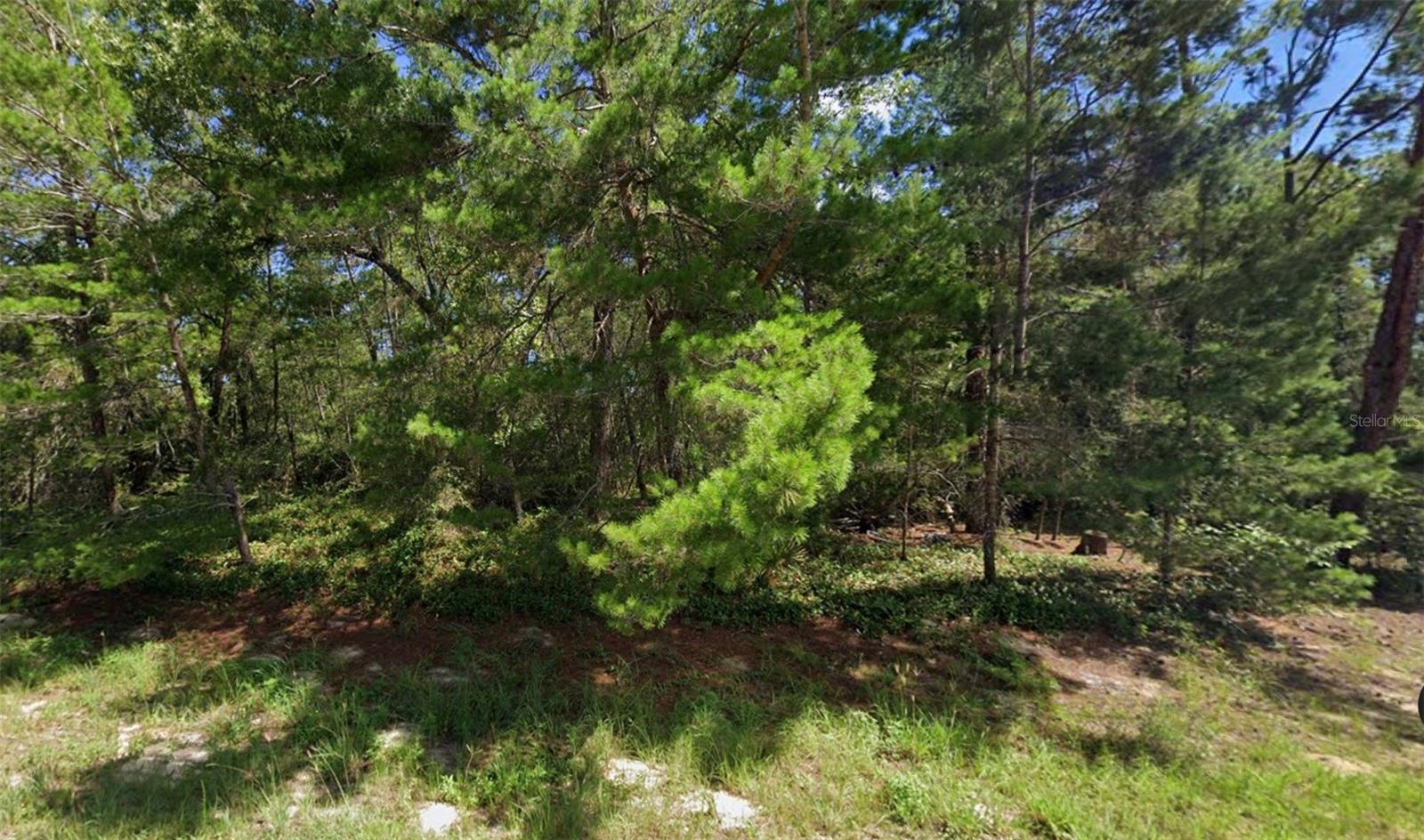 00 SW 176TH ST, OCALA, FL, 34473