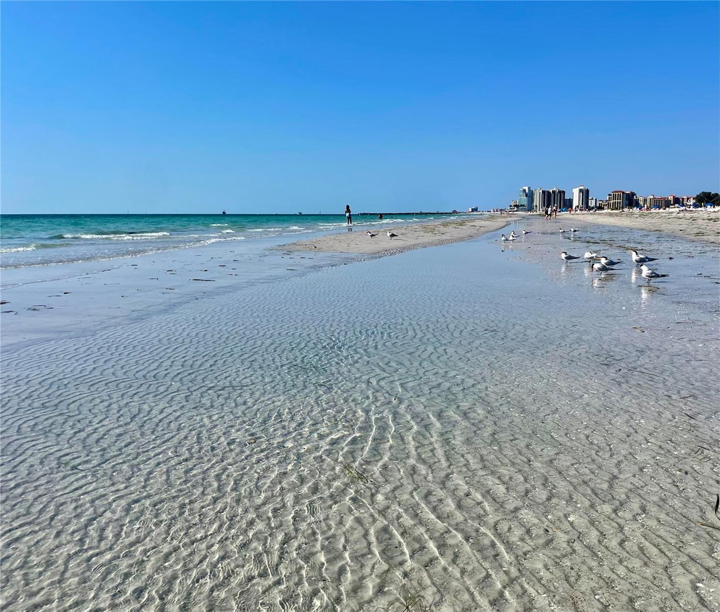 1230 GULF BLVD #508, CLEARWATER BEACH, FL, 33767